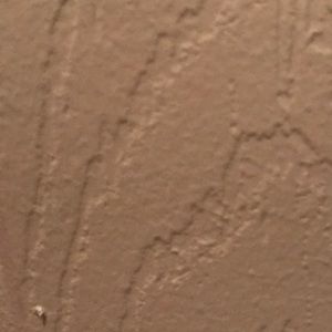 Meet your Posher, Adrienne